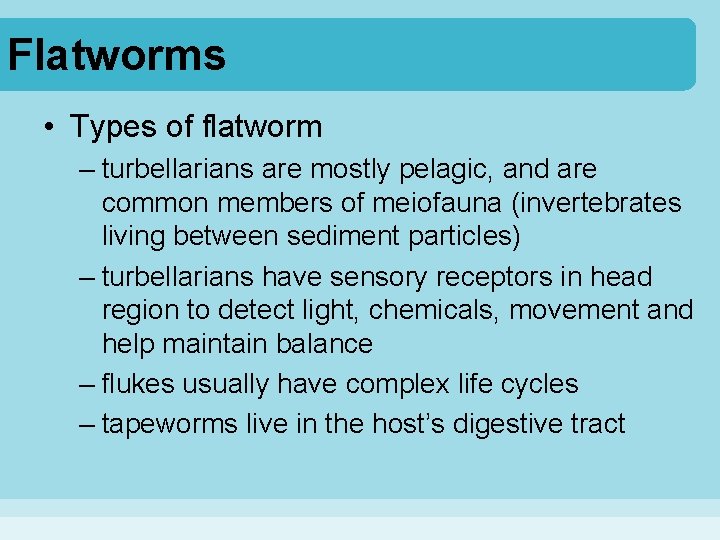 Flatworms • Types of flatworm – turbellarians are mostly pelagic, and are common members
