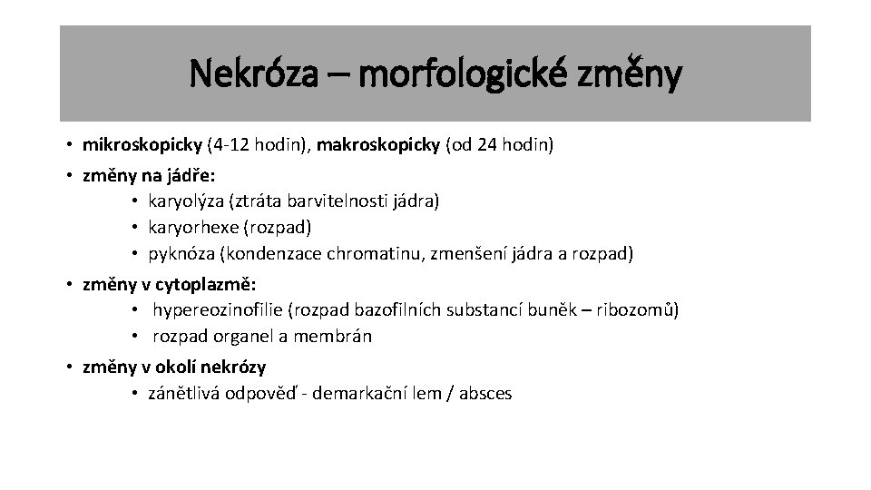 Nekróza – morfologické změny • mikroskopicky (4 -12 hodin), makroskopicky (od 24 hodin) •