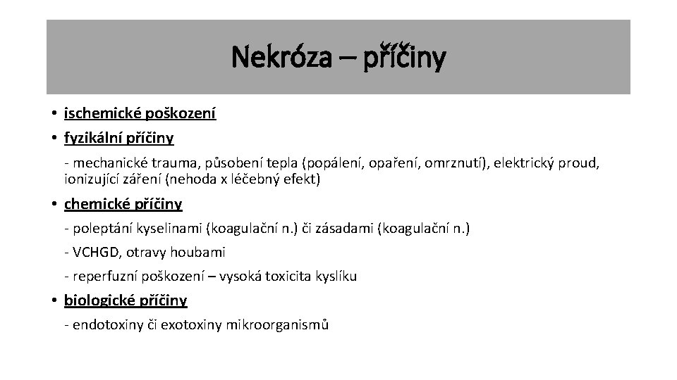 Nekróza – příčiny • ischemické poškození • fyzikální příčiny - mechanické trauma, působení tepla