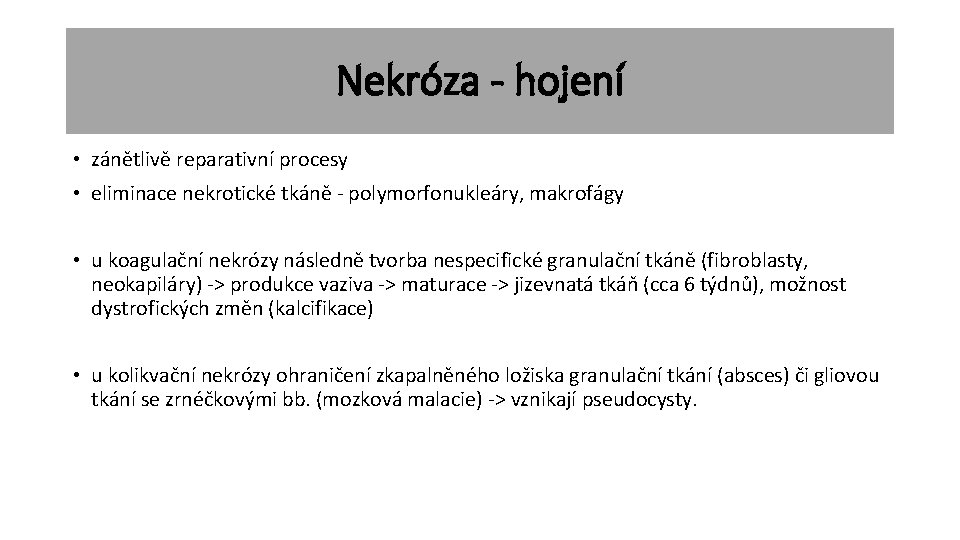 Nekróza - hojení • zánětlivě reparativní procesy • eliminace nekrotické tkáně - polymorfonukleáry, makrofágy