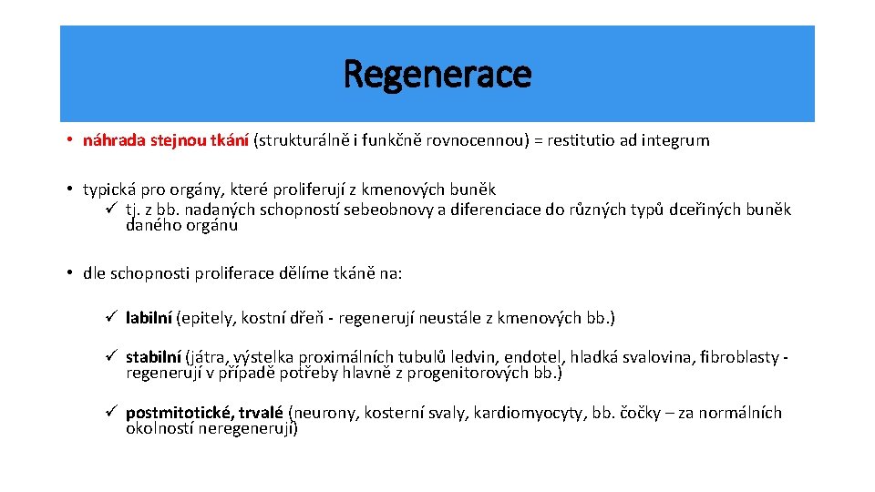 Regenerace • náhrada stejnou tkání (strukturálně i funkčně rovnocennou) = restitutio ad integrum •