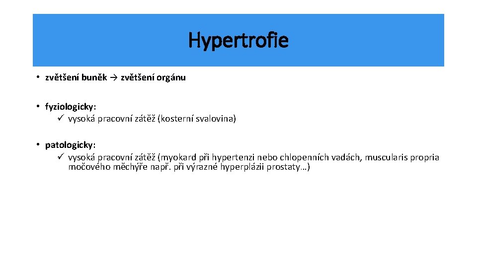 Hypertrofie • zvětšení buněk → zvětšení orgánu • fyziologicky: ü vysoká pracovní zátěž (kosterní