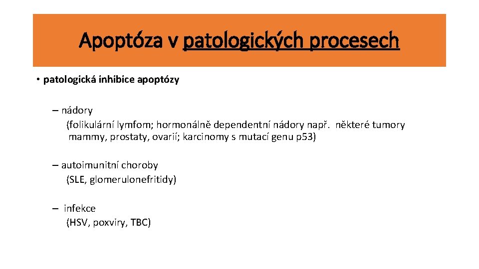 Apoptóza v patologických procesech • patologická inhibice apoptózy – nádory (folikulární lymfom; hormonálně dependentní