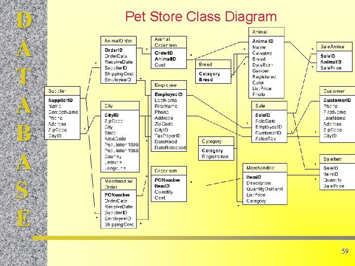 D A T A B A S E Pet Store Class Diagram 59 