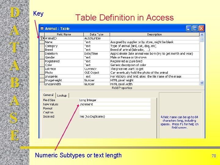 D A T A B A S E Key Table Definition in Access Numeric