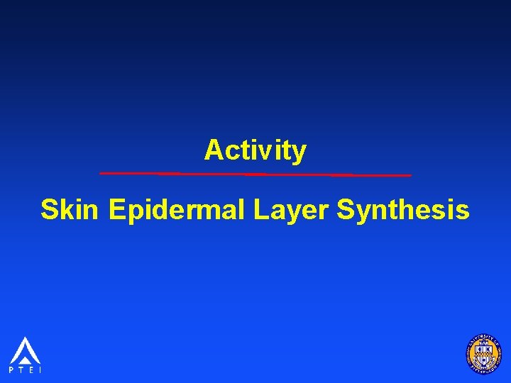 Activity Skin Epidermal Layer Synthesis 
