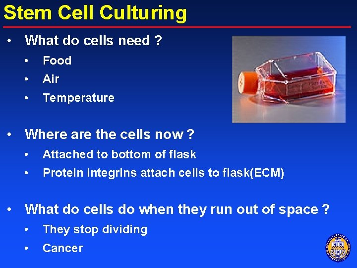 Stem Cell Culturing • What do cells need ? • Food • Air •