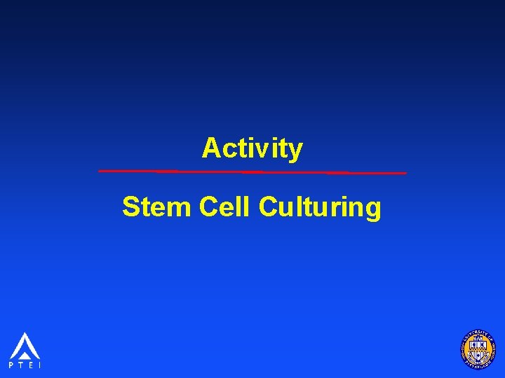 Activity Stem Cell Culturing 