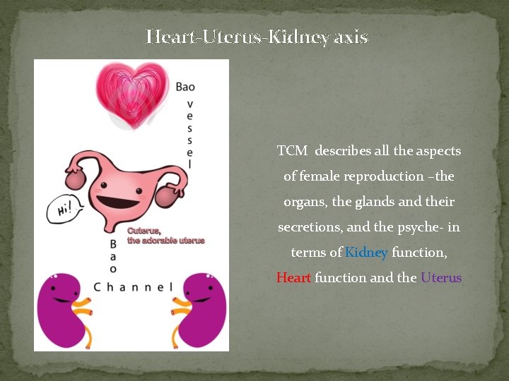 Heart-Uterus-Kidney axis TCM describes all the aspects of female reproduction –the organs, the glands