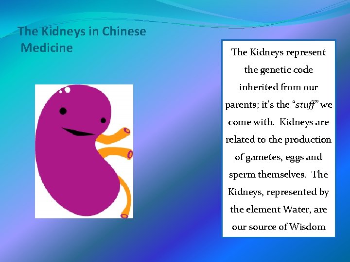 The Kidneys in Chinese Medicine The Kidneys represent the genetic code inherited from our