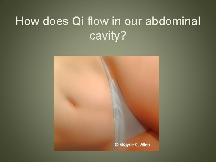 How does Qi flow in our abdominal cavity? 