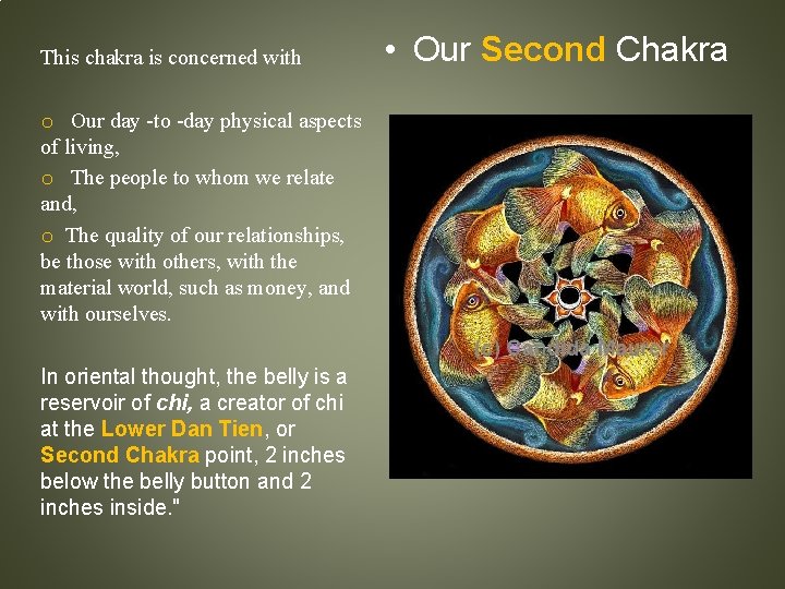 This chakra is concerned with o Our day -to -day physical aspects of living,