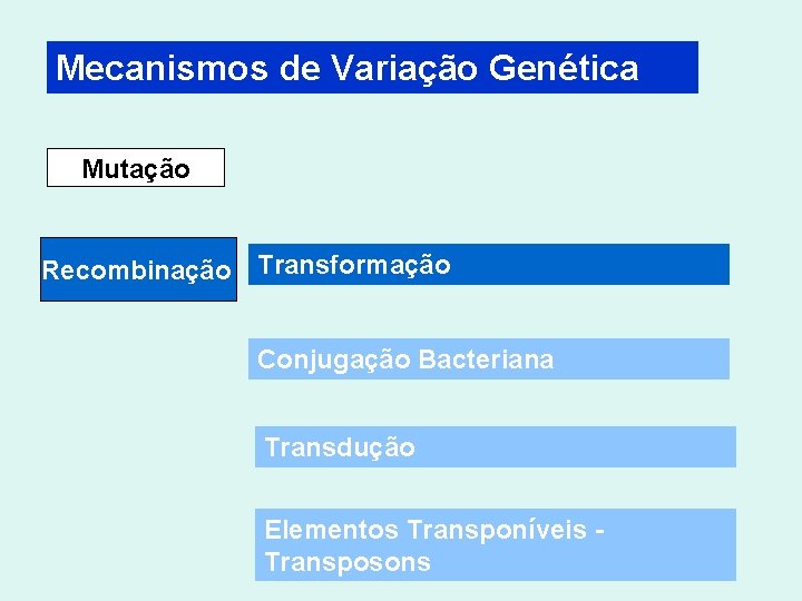 Mecanismos de Variação Genética Mutação Recombinação Transformação Conjugação Bacteriana Transdução Elementos Transponíveis - Transposons