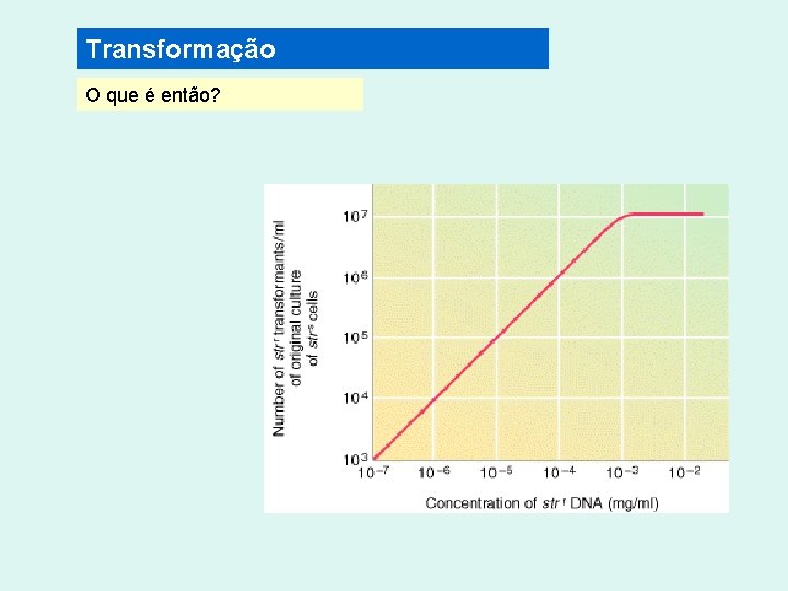 Transformação O que é então? Transformação O que é então?