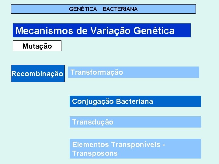 GENÉTICA BACTERIANA Mecanismos de Variação Genética Mutação Recombinação Transformação Conjugação Bacteriana Transdução Elementos Transponíveis GENÉTICA BACTERIANA Mecanismos de Variação Genética Mutação Recombinação Transformação Conjugação Bacteriana Transdução Elementos Transponíveis