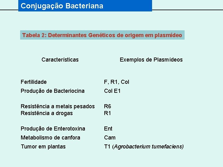 Conjugação Bacteriana Tabela 2: Determinantes Genéticos de origem em plasmídeo Características Exemplos de Plasmídeos
