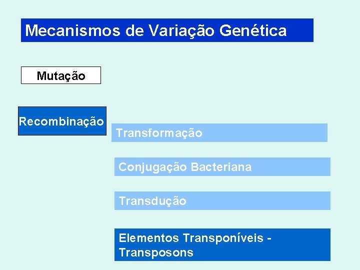 Mecanismos de Variação Genética Mutação Recombinação Transformação Conjugação Bacteriana Transdução Elementos Transponíveis - Transposons