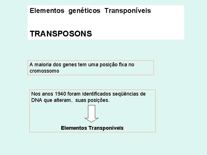 Elementos genéticos Transponíveis TRANSPOSONS A maioria dos genes tem uma posição fixa no cromossomo