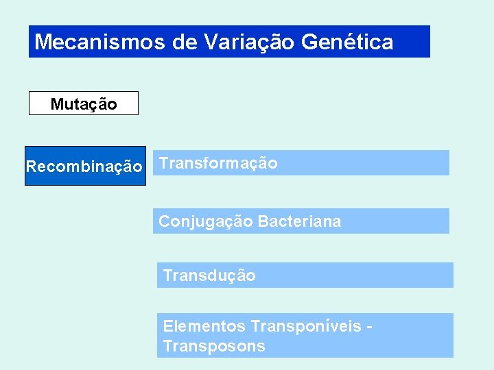 Mecanismos de Variação Genética Mutação Recombinação Transformação Conjugação Bacteriana Transdução Elementos Transponíveis - Transposons