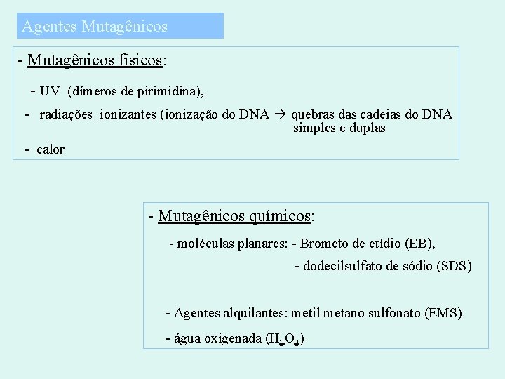 Agentes Mutagênicos - Mutagênicos físicos: - UV (dímeros de pirimidina), - radiações ionizantes (ionização