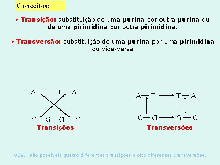 Conceitos: • Transição: substituição de uma purina por outra purina ou de uma pirimidina