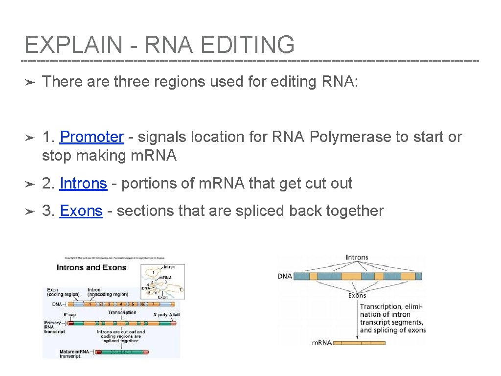 EXPLAIN - RNA EDITING ➤ There are three regions used for editing RNA: ➤