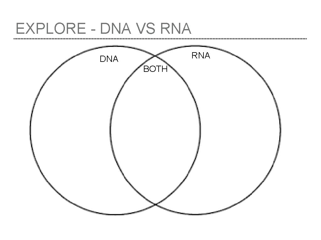 EXPLORE - DNA VS RNA DNA BOTH 