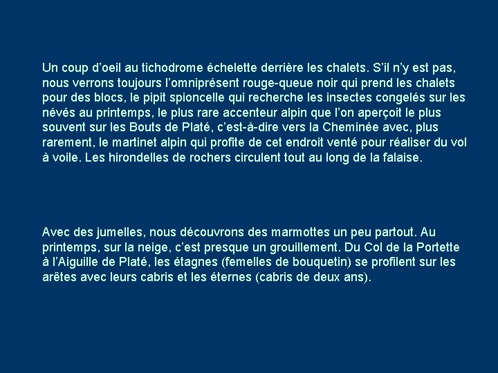 Un coup d’oeil au tichodrome échelette derrière les chalets. S’il n’y est pas, nous