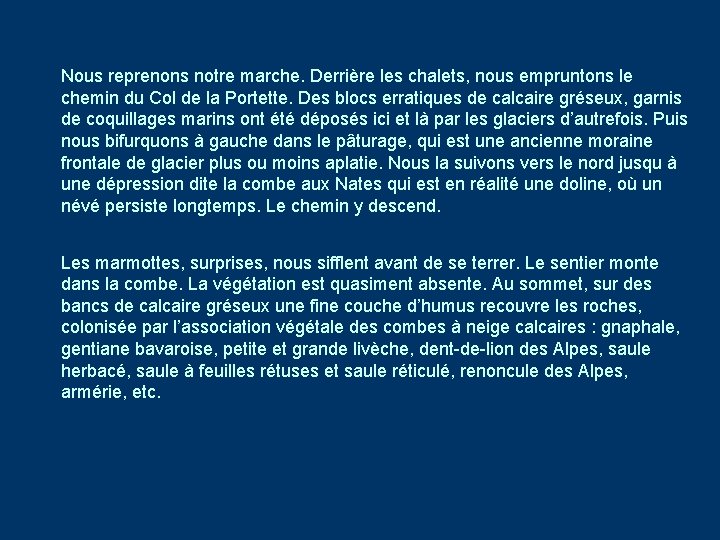 Nous reprenons notre marche. Derrière les chalets, nous empruntons le chemin du Col de