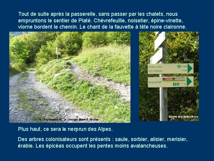 Tout de suite après la passerelle, sans passer par les chalets, nous empruntons le