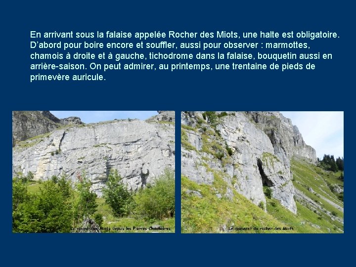 En arrivant sous la falaise appelée Rocher des Miots, une halte est obligatoire. D’abord