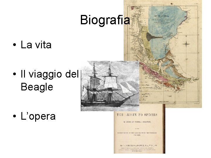 Biografia • La vita • Il viaggio del Beagle • L’opera 