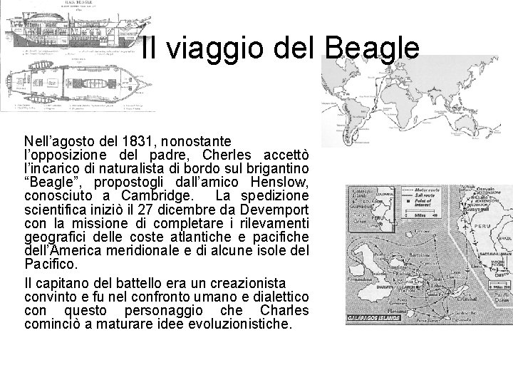 Il viaggio del Beagle Nell’agosto del 1831, nonostante l’opposizione del padre, Cherles accettò l’incarico