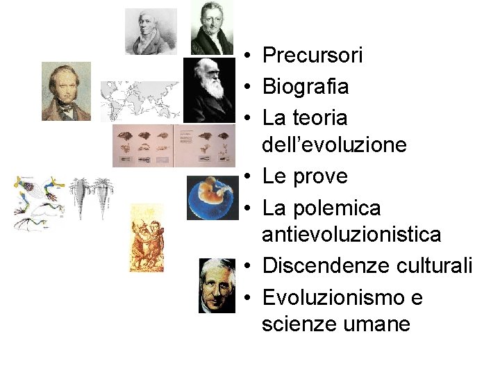  • Precursori • Biografia • La teoria dell’evoluzione • Le prove • La