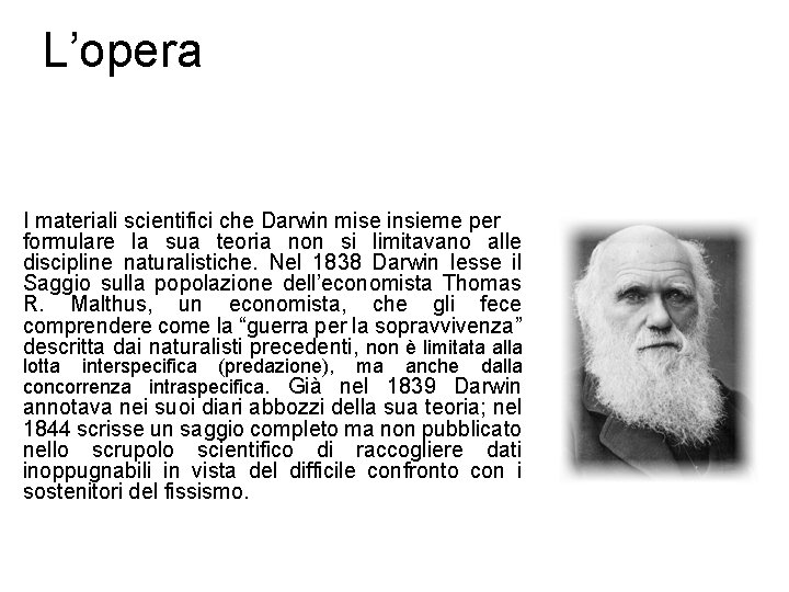 L’opera I materiali scientifici che Darwin mise insieme per formulare la sua teoria non