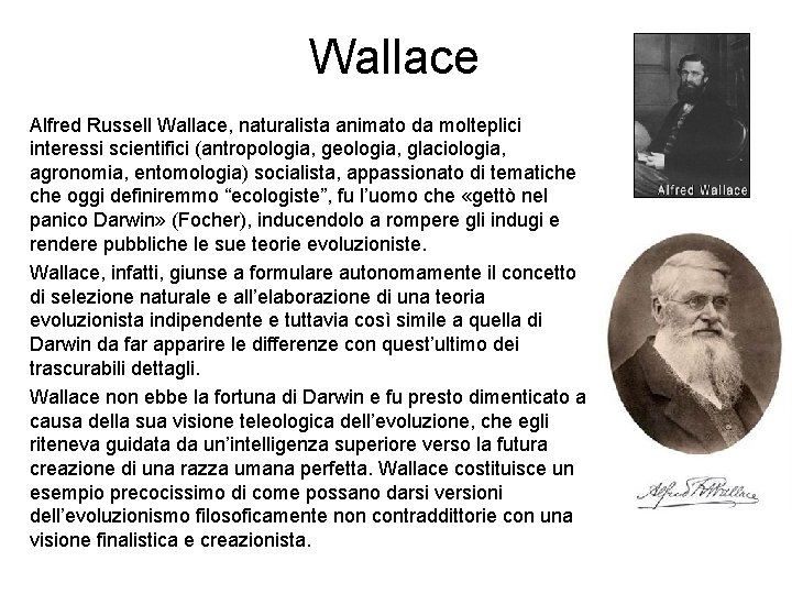 Wallace Alfred Russell Wallace, naturalista animato da molteplici interessi scientifici (antropologia, geologia, glaciologia, agronomia,