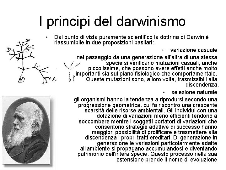 I principi del darwinismo • Dal punto di vista puramente scientifico la dottrina di