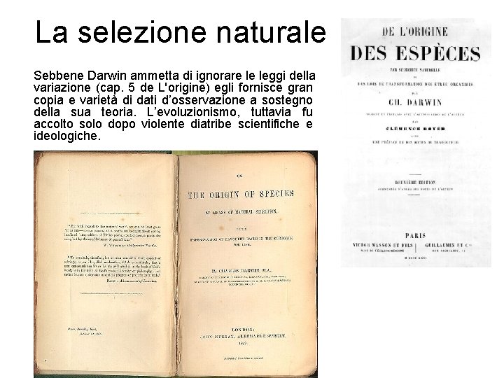 La selezione naturale Sebbene Darwin ammetta di ignorare le leggi della variazione (cap. 5