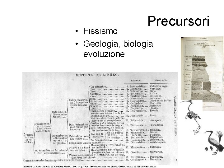 Precursori • Fissismo • Geologia, biologia, evoluzione 