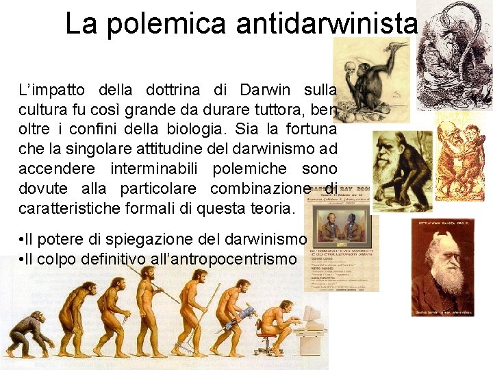 La polemica antidarwinista L’impatto della dottrina di Darwin sulla cultura fu così grande da