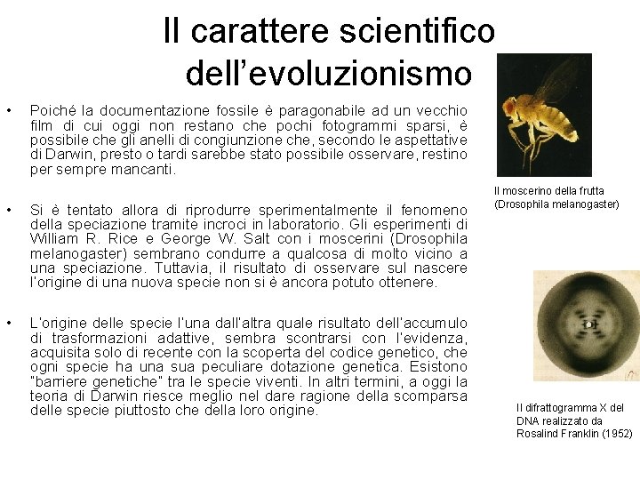 Il carattere scientifico dell’evoluzionismo • Poiché la documentazione fossile è paragonabile ad un vecchio