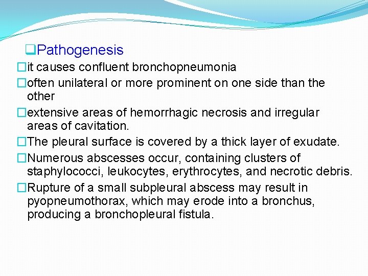 q. Pathogenesis �it causes confluent bronchopneumonia �often unilateral or more prominent on one side