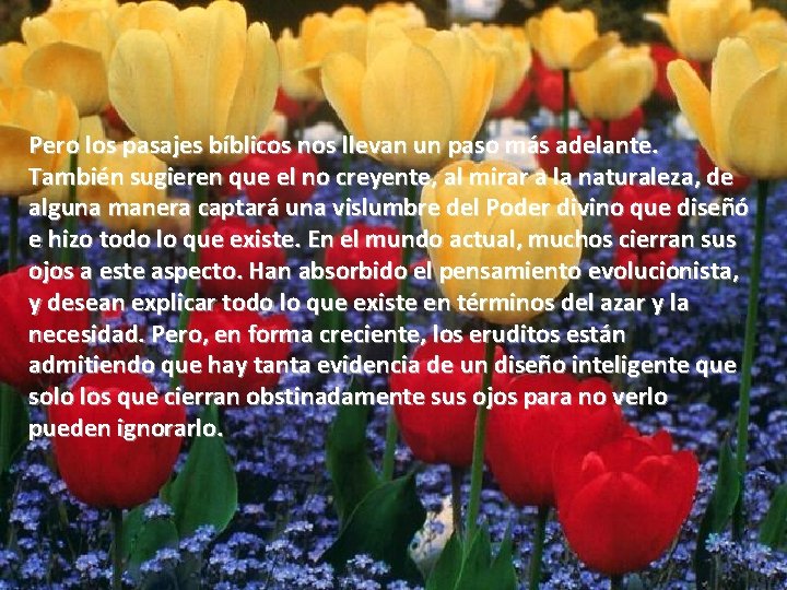 Pero los pasajes bíblicos nos llevan un paso más adelante. También sugieren que el