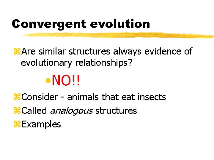Convergent evolution z. Are similar structures always evidence of evolutionary relationships? • NO!! z.