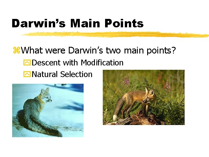 Darwin’s Main Points z. What were Darwin’s two main points? y. Descent with Modification