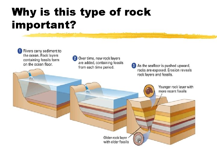 Why is this type of rock important? 