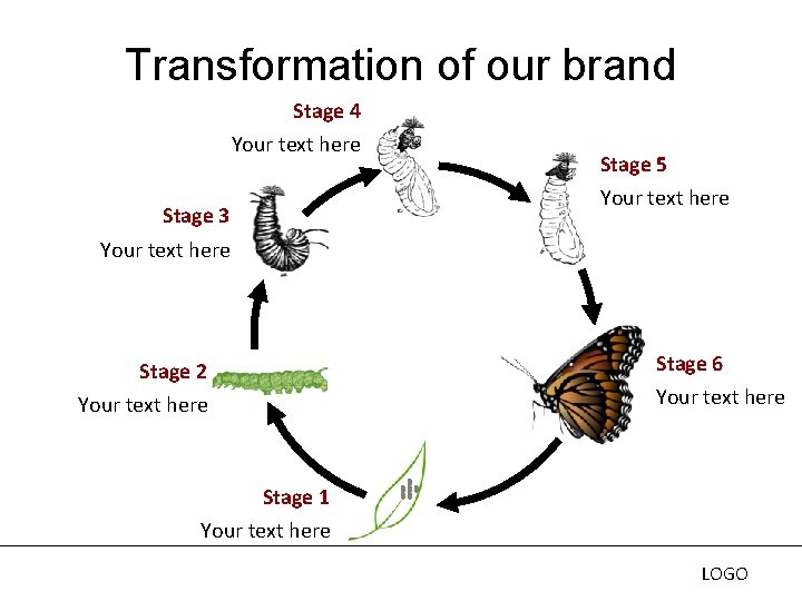 Transformation of our brand Stage 4 Your text here Stage 3 Stage 5 Your