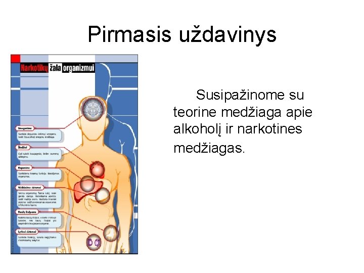 Pirmasis uždavinys Susipažinome su teorine medžiaga apie alkoholį ir narkotines medžiagas. 