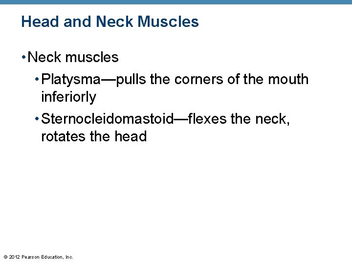 Head and Neck Muscles • Neck muscles • Platysma—pulls the corners of the mouth