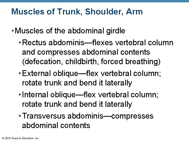 Muscles of Trunk, Shoulder, Arm • Muscles of the abdominal girdle • Rectus abdominis—flexes